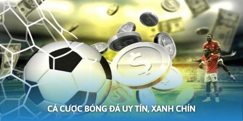 Nhà cái cung cấp dịch vụ cá cược bóng đá uy tín, xanh chín hàng đầu