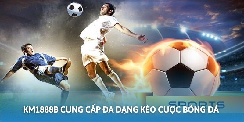 Nhà cái cung cấp các kèo cược bóng đá đa dạng cho hội viên